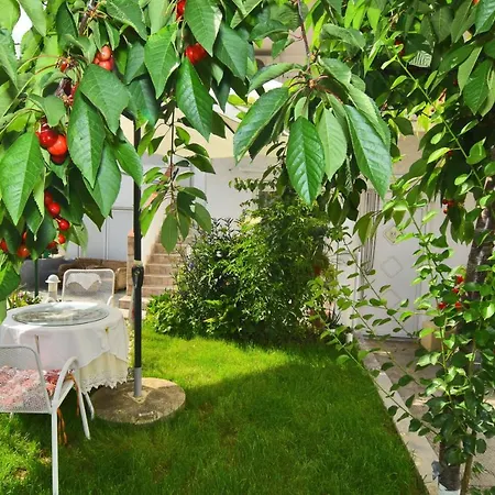 Nocleg ze śniadaniem Apartments&rooms Anika Zadar