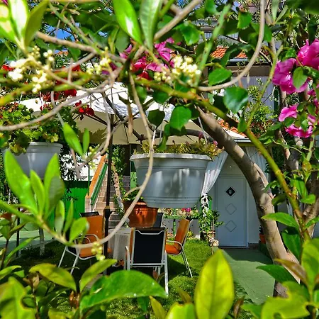 Apartments&rooms Anika 3* Zadar